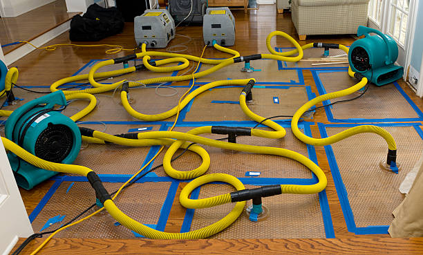 Professional Basement Flood Cleanup technician working in Klickitat, WA